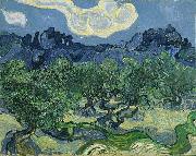 Vincent Van Gogh The Olive Trees oil painting reproduction